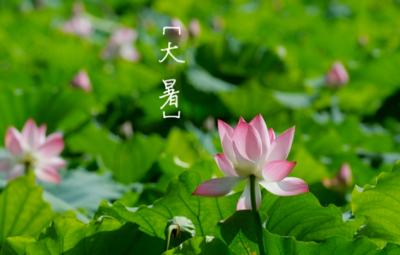 夏天最后一个节气，来了！