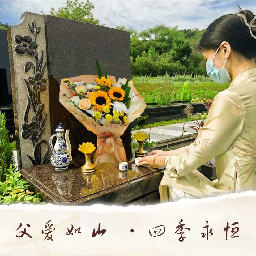 父亲节 | 父爱如山 向阳花开 祝天下父亲幸福安康